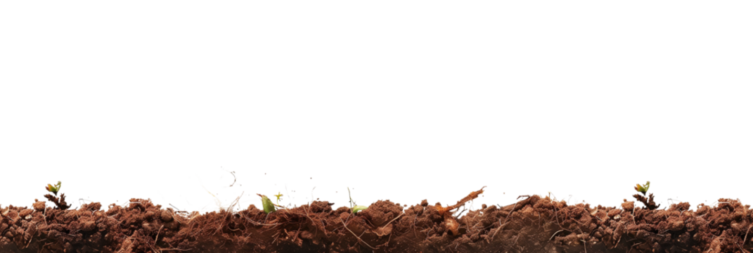 soil border side view isolated on transparent background