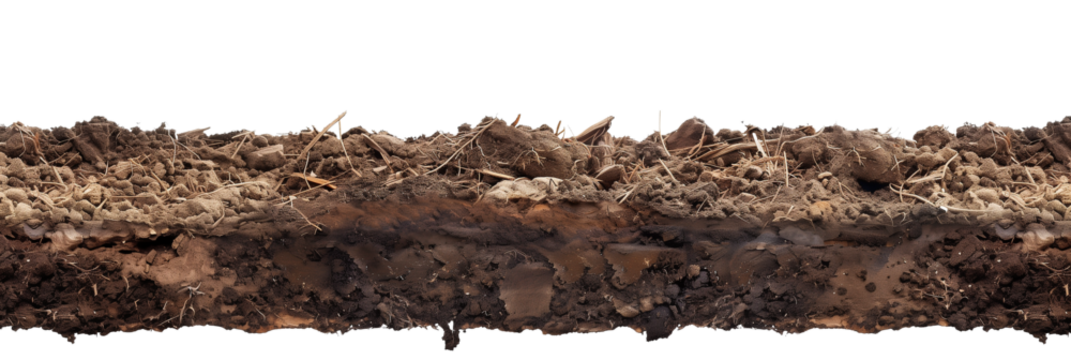 soil border side view isolated on transparent background