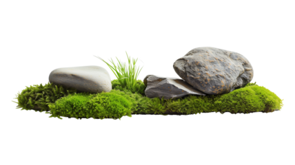 Green moss, accompanied by ornamental stones and grass isolated on transparent background