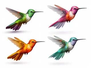 Fotobehang Kolibrie Hummingbird collection set isolated on transparent background, transparency image, removed background