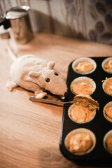 A charming toy rat engaged in the art of baking, meticulously preparing a batch of muffins with care and precision