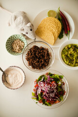 A charming toy rat delicately serves up tacos brimming with delicious fillings, adding a touch of whimsy to any culinary scene