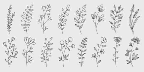 Foto op Canvas Hand drawn flower doodles. Hand drawn sketch of spring flower plant. Vector simple flower. © Bulgakova Kristina