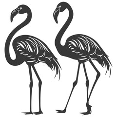 Silhouette Flamingo Birds black color only full body