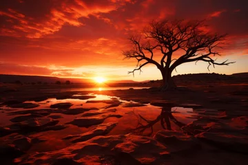 Poster Silhouetted tree against sunset over water, creating natural landscape beauty © JackDong