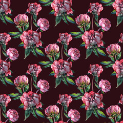 Gentle Summer Floral Seamless Pattern with Burgundy Peonies Flowers in Vintage Style, Botanical Greeting Card, Watercolor illustration on white Background. - 757421586