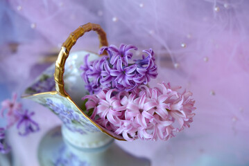 Pink and purple flowering hyacinth in a vase close-up
