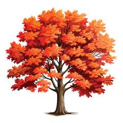 Maple Tree Clipart Clipart isolated on white background