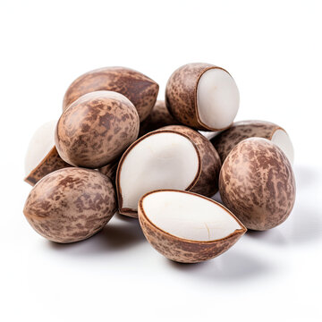 Shea nut Isolated on white background