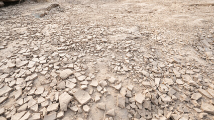 Dry barren and cracked soil surface texture