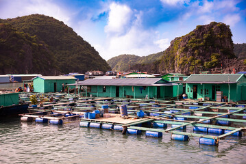 Floating fishing village in sea bay in Vietnam, boats and islands - obrazy, fototapety, plakaty