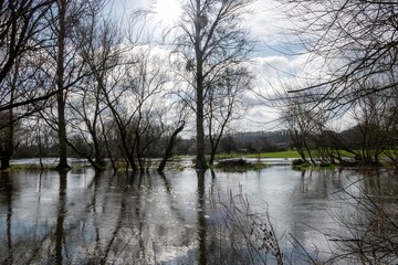 view of the River Avon at Salisbury Wiltshire England after it has burst its banks and flooded fields behind