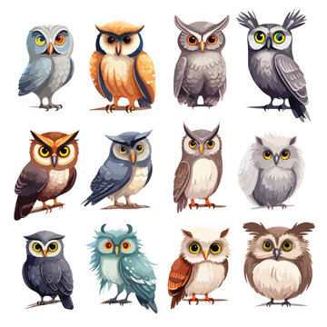 Owl Illustrations Clipart isolated on white background
