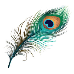 Peacock Feather Clipart Clipart isolated on white background