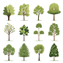 Fototapeta premium Collection of Various Tree Illustrations for Design Use