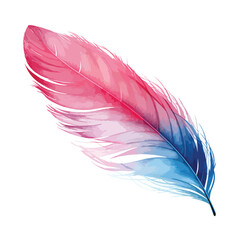 Pink and Blue Feather Clipart isolated on white background