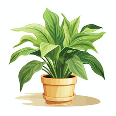 Potted House Plant Clipart isolated on white background
