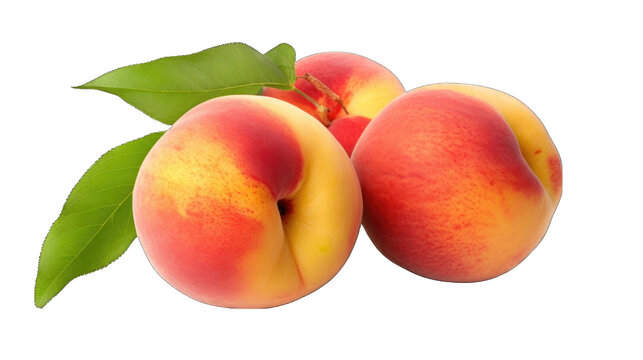 Create A High quality closeup 3 fresh Peach