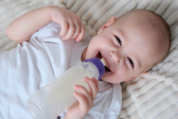 A child drinks milk from a baby bottle. The white lamb cuddles the toy. Baby girl, top view, in...