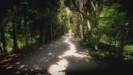 This is the park of Fredriksdal in Helsingborg, Sweden