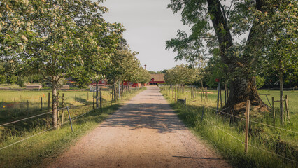 This is the park of Fredriksdal in Helsingborg, Sweden