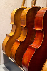 violin, cello, bow, music, instrument, double bass, workshop, wood, score, workshop, handmade,...