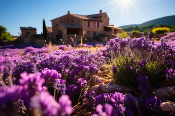 Tuinposter Purple flowers in front of a house with a natural landscape backdrop © JackDong