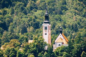 Fototapeta na wymiar Church of the Mother of God on the Bled Lake