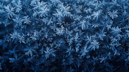 A crisp frost and midnight blue textured background, evoking winter's chill and night's mystery.