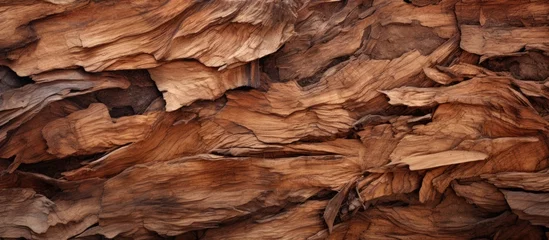Photo sur Plexiglas Anti-reflet Texture du bois de chauffage A detailed view of a heap of brown hardwood chips, remnants of a tree being cut down. The formation resembles a bedrock outcrop, suitable for flooring