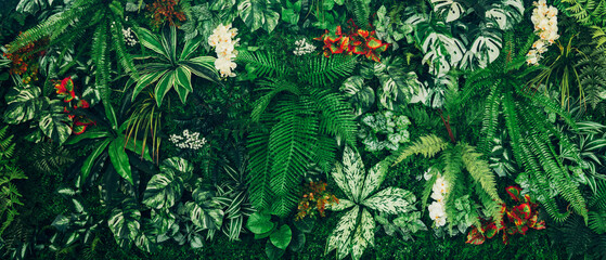 Close up group of background green leaves texture and Abstract Nature Background. Lush Foliage Textures. Exotic Greenery and Botanical Patterns..