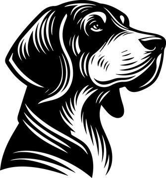  American Coonhound 