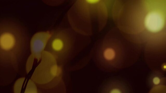 Animation of glowing yellow bokeh light spots falling over string lights on dark background