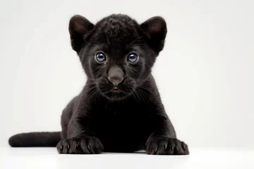 Foto op Plexiglas black panther cub on a white background © MaskaRad