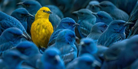 Fotobehang A single yellow bird among a flock of blue birds. © ParinApril