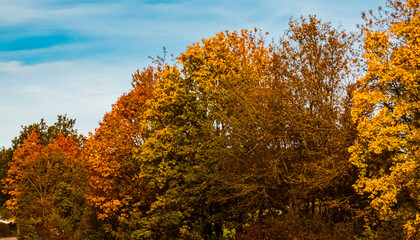 Autumn or indian summer view at Mount Bogenberg, Bogen, Danube, Bavaria, Germany