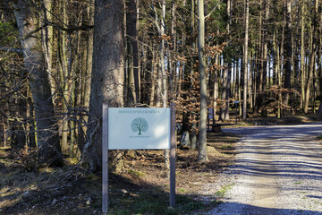 Natural cemetery near Markt Wald on a sunny spring day