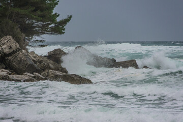 waves on the beach