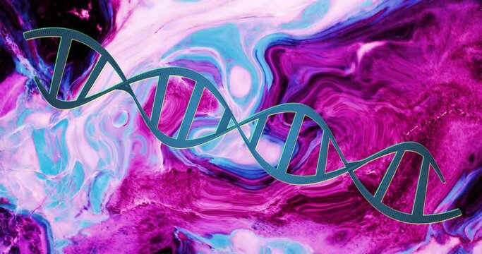 Animation of blue dna strand rotating over moving pink and blue liquid