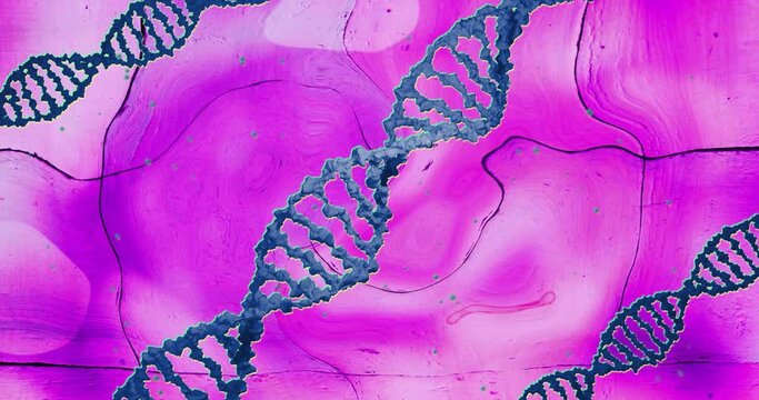 Animation of blue dna strands rotating on pink liquid moving over tiles
