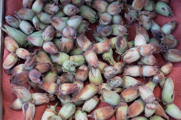 Cobb nuts on hessian