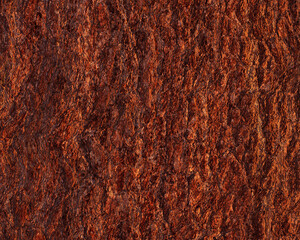 Pattern and structure of pine bark. Detail shot. - 757455978