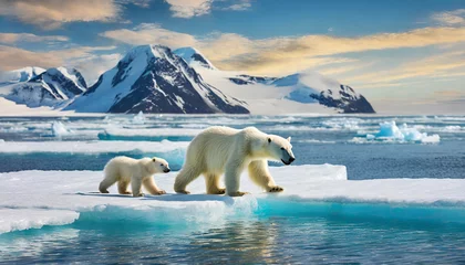 Rolgordijnen polar bear and cubs walking across solo ice floating on arctic ocean Mom cubs walking across the frozen sea ice in northern Manitoba during their migration to the frozen ocean with global warming  © Stock