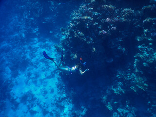 wonderful coral reef life - 757458383