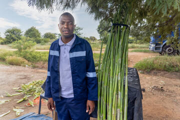 african street vendor selling corn and sweet reed , sugarcane on the side of the road