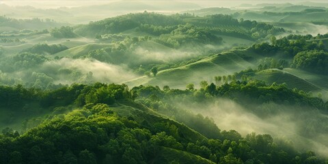 Lush green hills enveloped in mist.