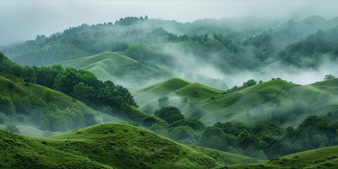 Lush green hills enveloped in mist.
