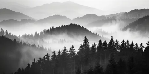 Papier Peint photo Gris 2 Misty forested mountain landscape in monochrome tones.