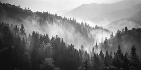 Fototapeten Misty forested mountain landscape in monochrome tones. © ParinApril