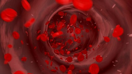 Blood cells flowing through the vein. Hemoglobin, corpuscle, bloodstream, blood plasma, arteries.